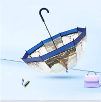 210001 Зонт ART118A