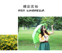 209261 Зонт RST umbrella