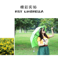 209261 Зонт RST umbrella - 209261 Зонт RST umbrella