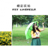 196471 Зонт RST umbrella - 196471 Зонт RST umbrella