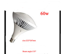 72791 Лампочка 60w